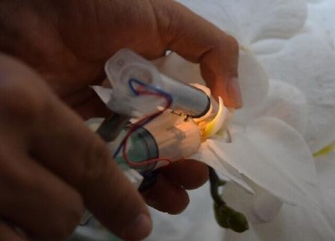 ساخت سرنگ تلقیح مصنوعی گل اركیده