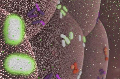 كشف التهاب های خطرناك روده با باكتری دستكاری شده