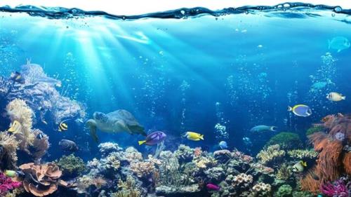 برنامه های پژوهشگاه اقیانوس شناسی به مناسبت گرامیداشت روز جهانی دریا و اقیانوس