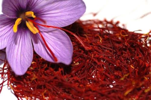 زعفران ایرانی شناسنامه دار می شود