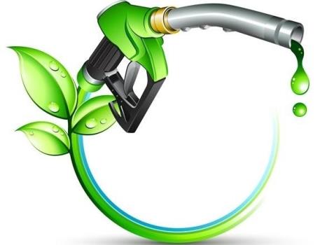 ۲ پروژه ملی برای توسعه تولید سوخت زیستی در كشور