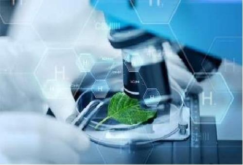 تدوین کتابی برای آشنایی نسل آینده با چگونگی توسعه بیوتکنولوژی در کشور