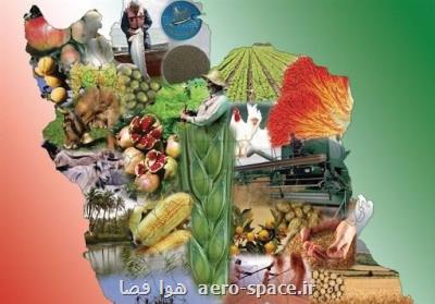 برنامه ۳۳ گانه فناورانه برای ایجاد امنیت غذایی در كشور