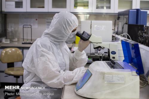 شناسایی ژنتیک ویروس کرونا بهترین پژوهش کشور در حوزه کووید ۱۹ شد