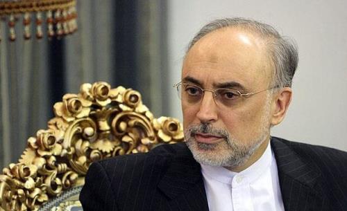 علی اکبر صالحی رییس کارگروه علمی جایزه مصطفی(ص) شد