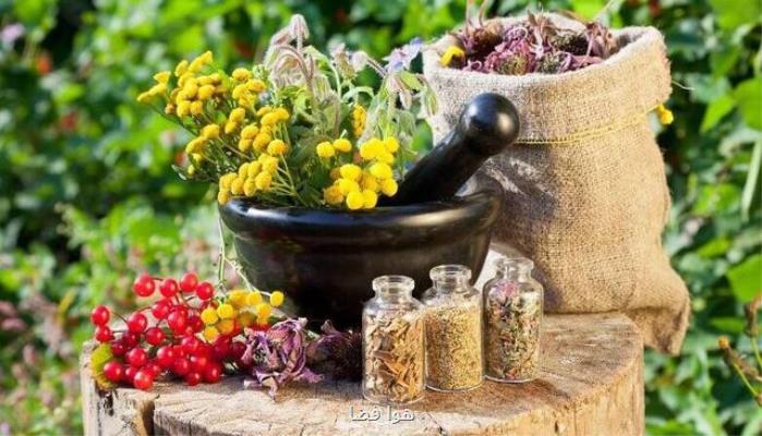 ۱۰ اقدام ملی برای ارتقای فرهنگ تولید و مصرف گیاهان دارویی