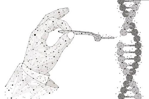 درمان یک بیماری نادر ژنتیکی با فناوری کریسپر