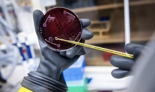 ساخت اولین میکروبیوم مصنوعی انسانی در لابراتوار