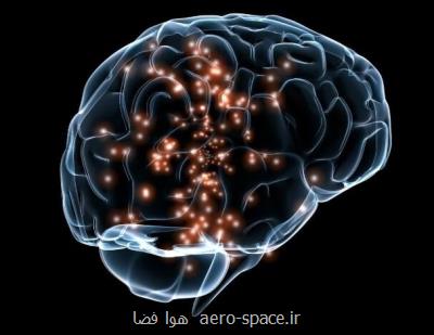 مدلسازی مغز در مراحل مختلف خواب توسط محققان کشور