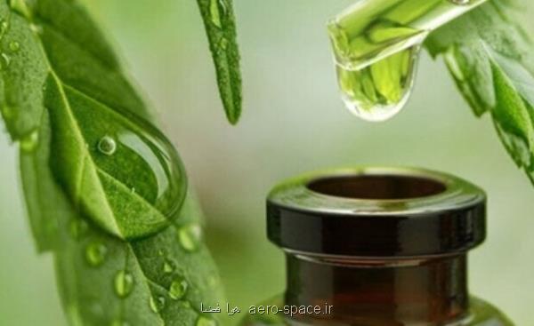پشتیبانی از 100طرح پژوهشی با هدف توسعه صنعت گیاهان دارویی