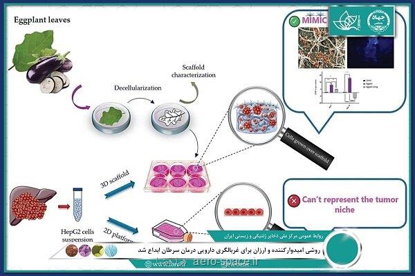 ابداع روشی امیدوارکننده و ارزان برای غربالگری دارویی درمان سرطان
