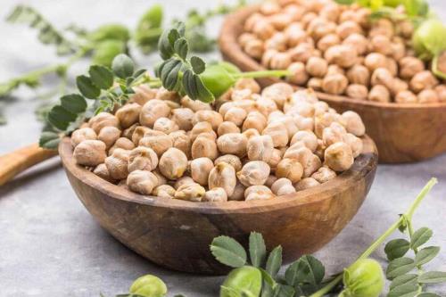 شناسایی ژن های بیماری زا در نخود