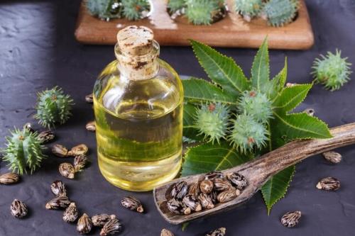روشی نوین برای تولید دیزل زیستی از روغن کرچک