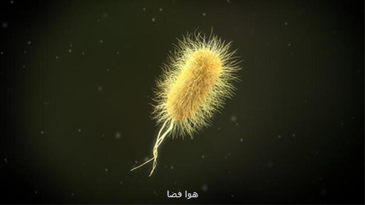 تولید پلاستیک تجزیه پذیر با استفاده از باکتری مدفوع!