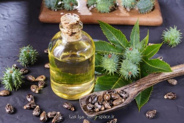 روشی نوین برای تولید دیزل زیستی از روغن کرچک
