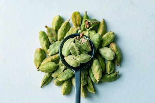 شناسایی خاصیت ضدویروسی عصاره دانه هل توسط محققان ژاپنی