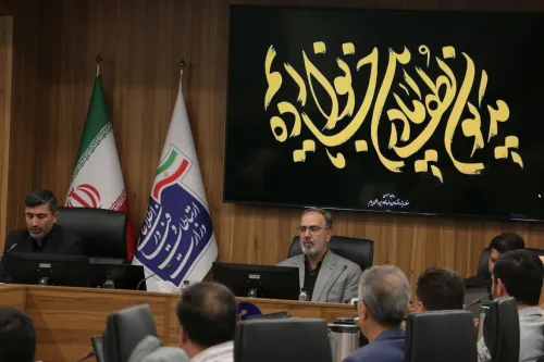 لزوم ایجاد سازوکار ساختاری برای رفع دغدغه های تولیدکنندگان