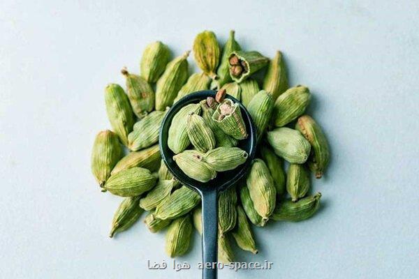 شناسایی خاصیت ضدویروسی عصاره دانه هل توسط محققان ژاپنی شناسایی خاصیت ضدویروسی عصاره دانه هل توسط محققان ژاپنی