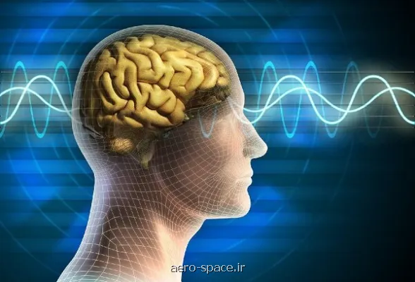 خواندن سیگنال های پنهان مغز با تکنولوژی جدید پژوهشگر ایرانی