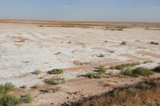 پشتیبانی از 10 راهبرد حوزه خاك توسط معاونت علمی و فناوری