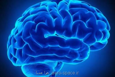 كسب مقام سوم مسابقات جهانی دانش مغز توسط یك ایرانی