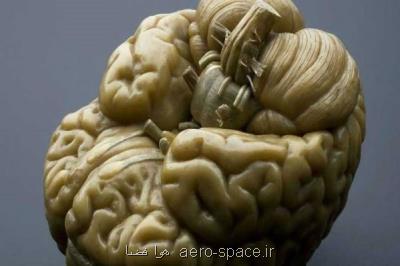مسابقات دانش آموزی دانش مغز