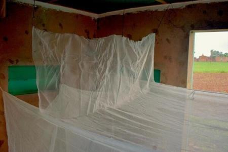 تولید پشه بندی كه حشره كش هم هست