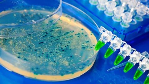 موفقیت محققان كشور در بومی سازی تكنیك تشخیص بیماری شبه سل