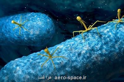 ویروس های باكتری خوار جایگزین آنتی بیوتیك می شوند