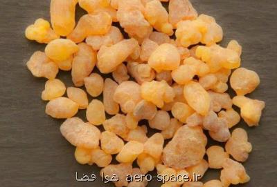 نقشه راه تجاری سازی صمغ های بومی ایران تدوین شد