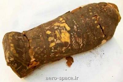 مومیایی ۲۱۰۰ ساله مصری جنین نوزاد نارس است