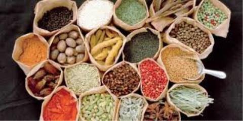 راه اندازی سامانه ای برای خرید و فروش گیاهان دارویی