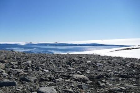 كشف باكتری كه فقط با هوا خوردن زنده می ماند