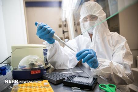 تایید ۲۵۶ طرح تحقیقاتی با مبحث كووید ۱۹ در دانشگاه علوم پزشكی مشهد