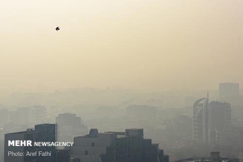 برای رفع آلودگی هوا از محققان كمك نمی گیرند