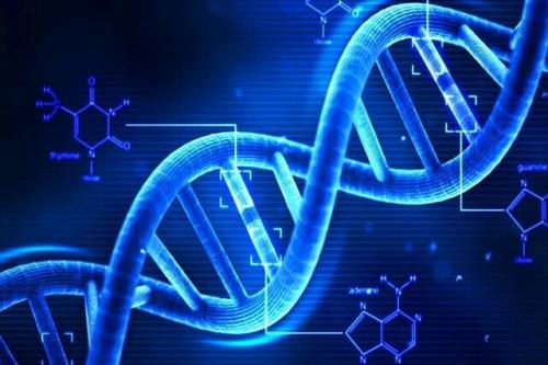 شناسایی و تشخیص نقص های ژنتیكی با فناوری نوین محققان كشور