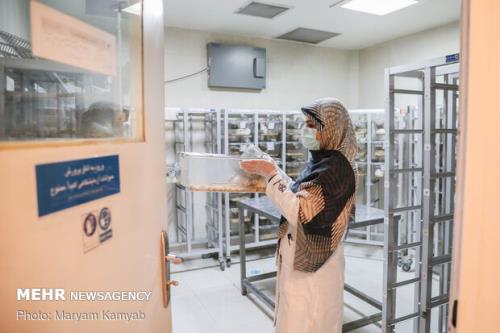 نگاه دنیا به ایران با سلول بنیادی تغییر نمود