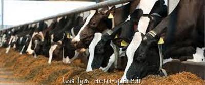 تولید داروهایی برای مقابله با بیماری های عفونی دامی از جانب محققان كشور