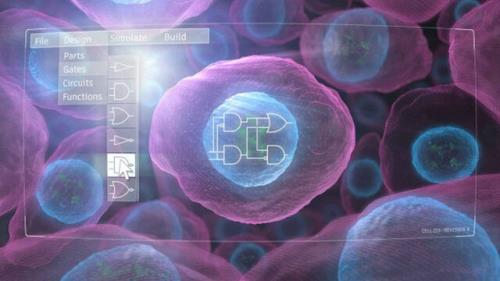 كشف راهی برای پیشبینی طرح های مفید ژنتیكی توسط دانشمند ایرانی