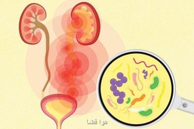 موفقیت واكسن جدید از بین برنده عفونت های مثانه